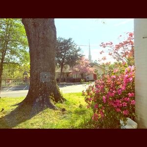 Meet your Posher, Elizabeth